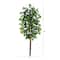 5ft. Artificial Double Trunk Ficus Tree
